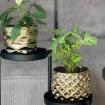 Keramični lonec Moon 02.631.16